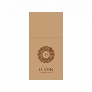 ΧΑΡΤΟΠΕΤΣΕΤΑ AIRLAND WOOD 40CM 75TMX